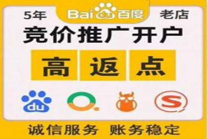 百度SEO推广案例：实战解析与优化建议